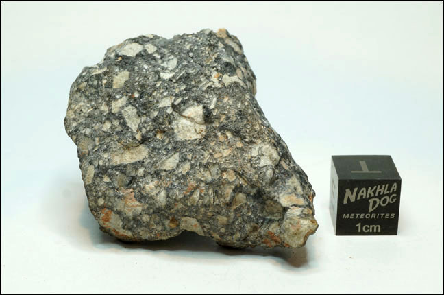 Nakhla Dog Meteorites, Meteorites for Sale, Meteorite